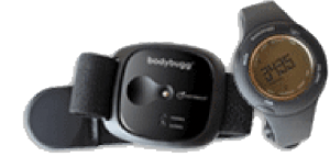 bodybug BodyBugg monitoring system tracks calories
